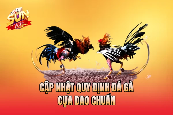 Cập nhật quy định đá gà cựa dao chuẩn
