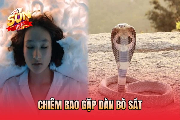 Chiêm bao gặp đàn bò sát