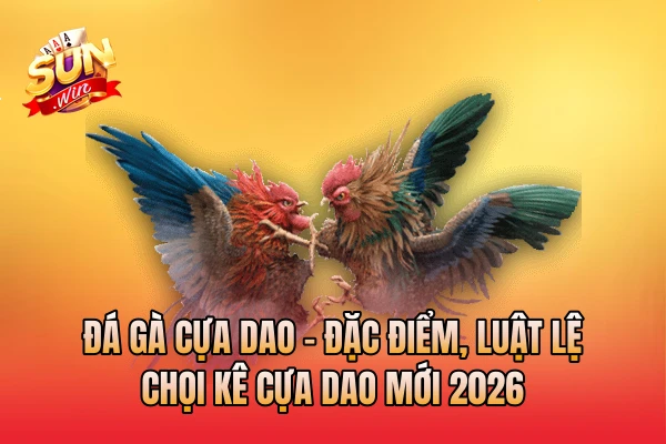 Đá Gà Cựa Dao - Đặc Điểm, Luật Lệ Chọi Kê Cựa Dao Mới 2026