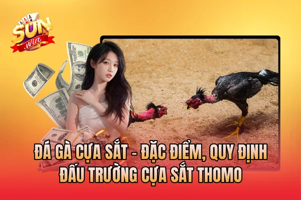 Đá Gà Cựa Sắt - Đặc Điểm, Quy Định Đấu Trường Cựa Sắt Thomo