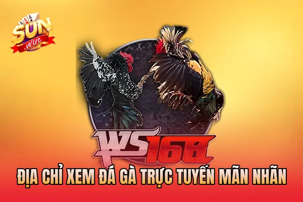 Địa chỉ xem đá gà trực tuyến mãn nhãn