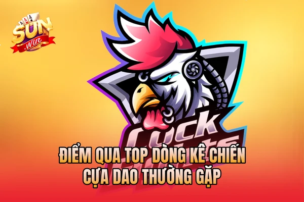 Điểm qua top dòng kê chiến cựa dao thường gặp