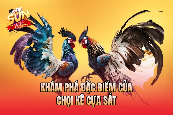 Khám phá đặc điểm của chọi kê cựa sắt