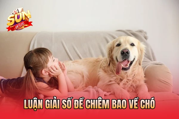 Luận giải số đề chiêm bao về chó