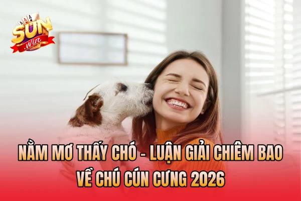 Nằm Mơ Thấy Chó - Luận Giải Chiêm Bao Về Chú Cún Cưng 2026