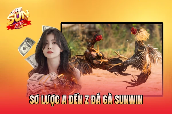 Sơ lược A đến Z đá gà SunWin