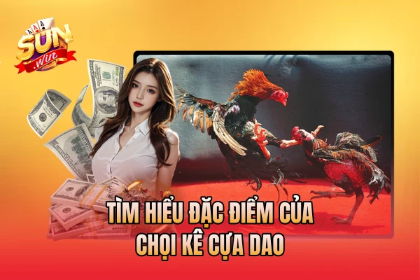 Tìm hiểu đặc điểm của chọi kê cựa dao