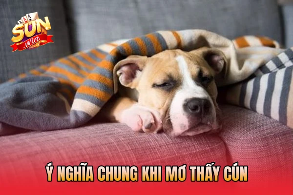 Ý nghĩa chung khi mơ thấy cún